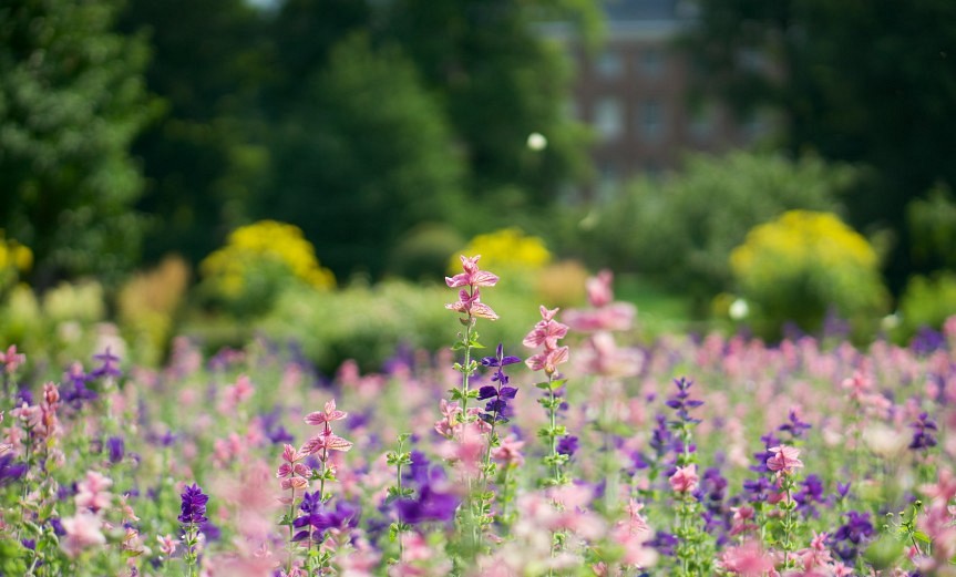 Bokeh colors