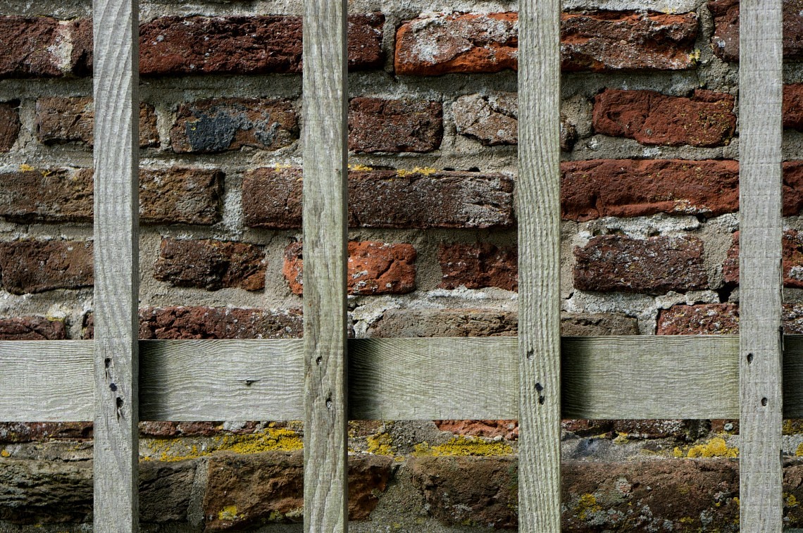 Bricks and fence