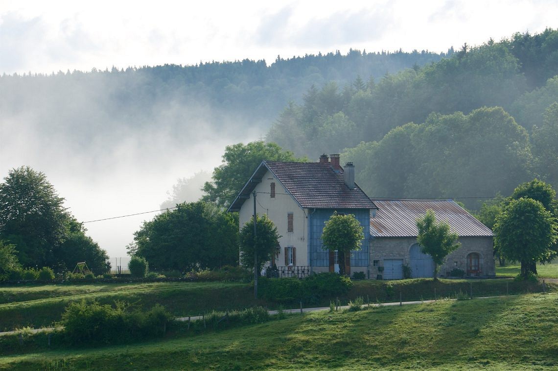 Misty House